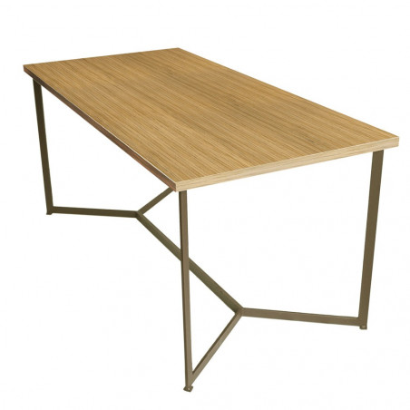 Mesa rectangular comedor