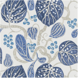 Astasia Indigo