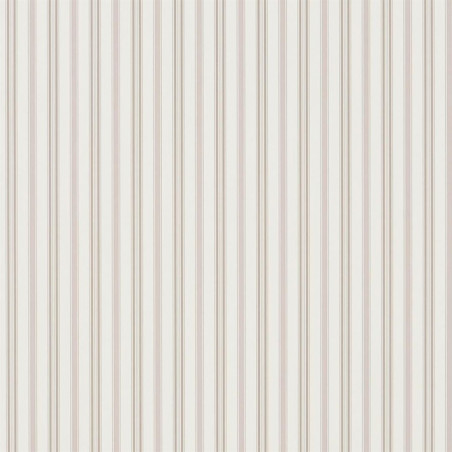 Basil Stripe Basil Stripe