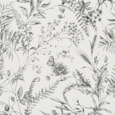 Fern Toile - Etched Black Fern Toile - Etched Black