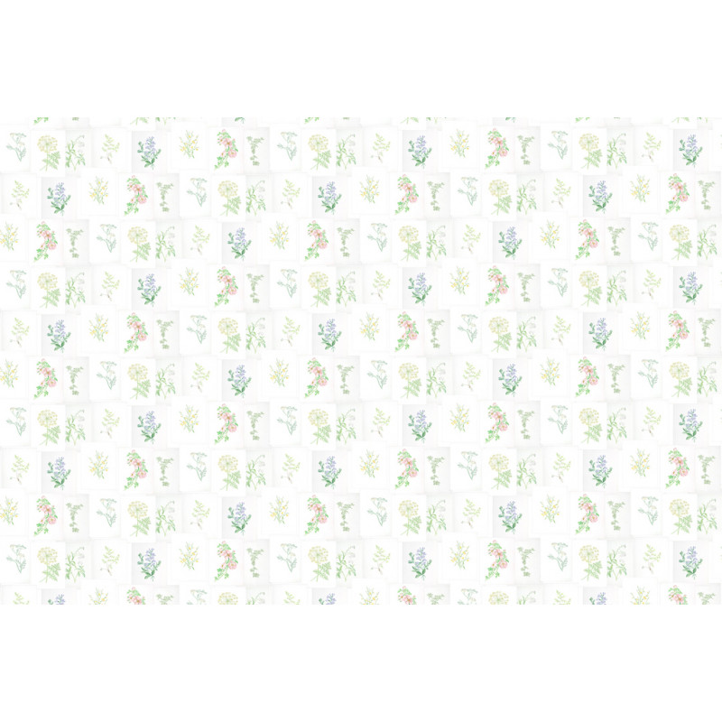 Botanika - 7800994