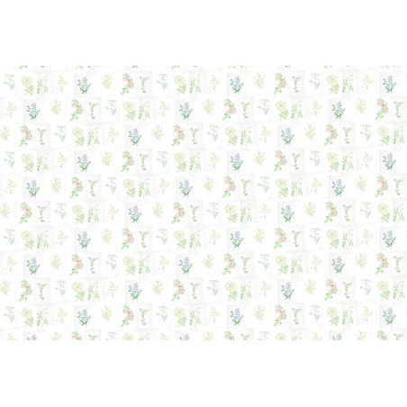 Botanika - 7800994