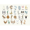 Animal Alphabet - Multi - 9700140