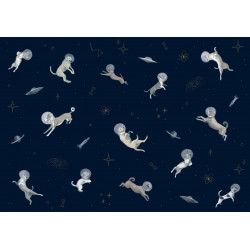 Doggy Gravity - Night - 9700083