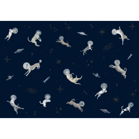 Doggy Gravity - Night - 9700083