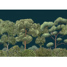 Green Forest - Midnight - 9700093