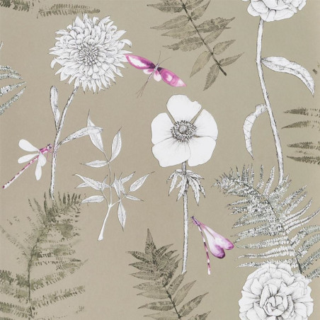 Acanthus Graphite Acanthus Graphite