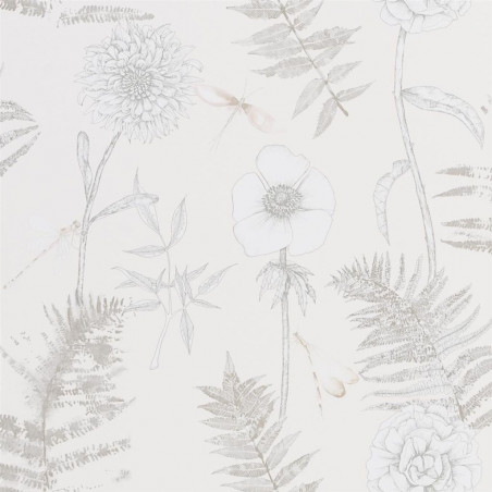 Acanthus Graphite Acanthus Graphite