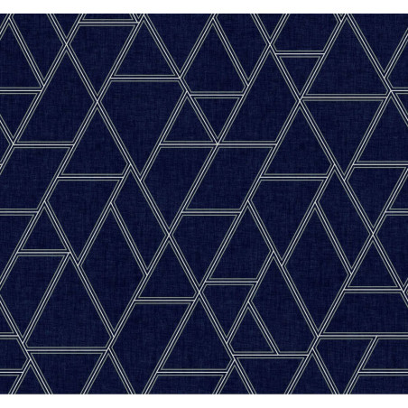 Labyrinth - Navy A00030