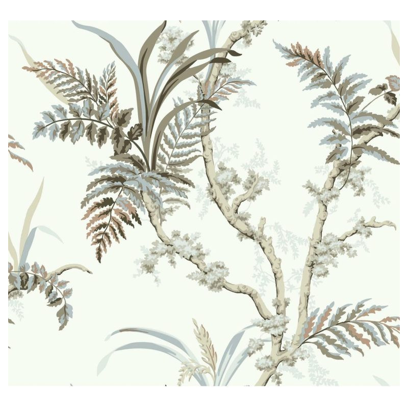 Wild-Ferns Khaki A00023