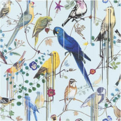 Birds Sinfonia Source