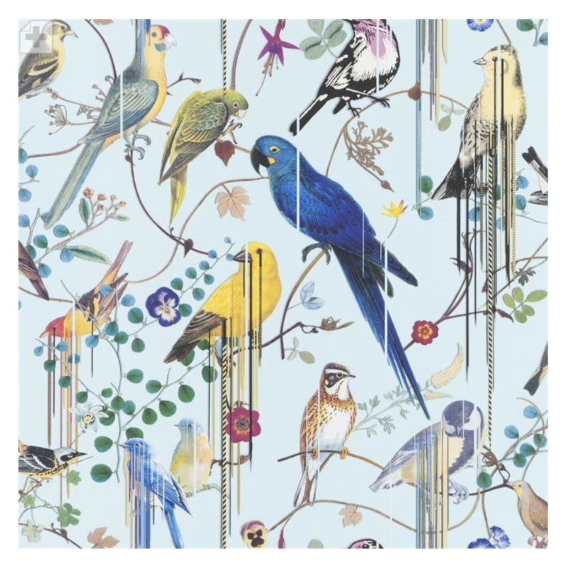 Birds Sinfonia Source