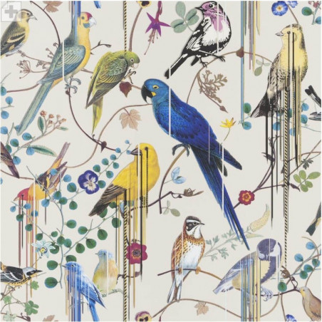 Birds Sinfonia Jonc Birds Sinfonia Jonc