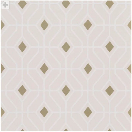 Laterza Shell Laterza Shell