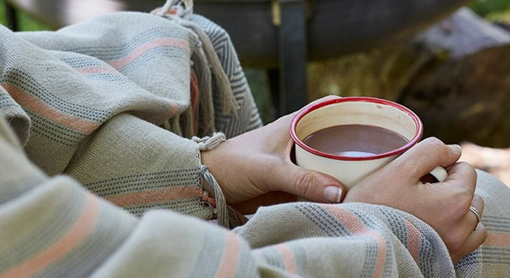 French Linen Throws